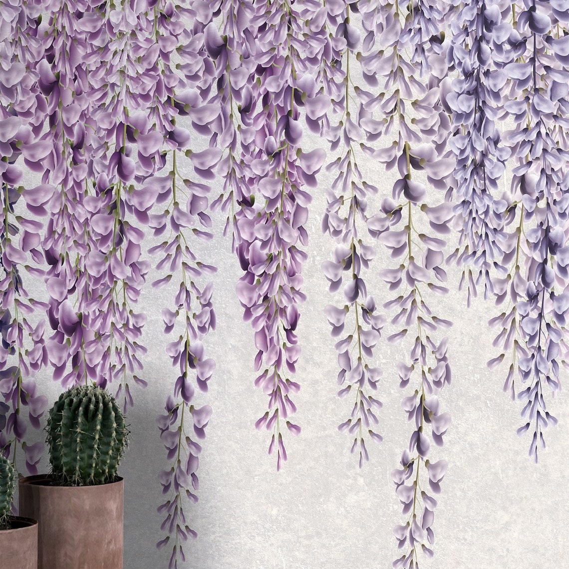 Beautiful Wisteria Vine Hanging Wisteria Wallpaper Wisteria - Etsy