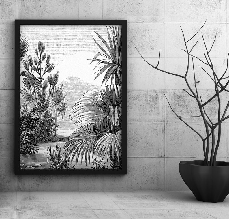 Black and White Tropical Tree Jungle Wall Wallpaper Peel and Etsy
