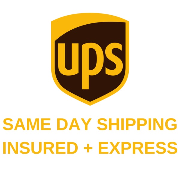 Same Day INSURED EXPRESS SHIPPING