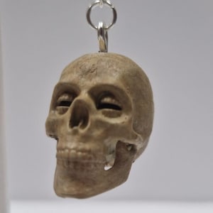 The Corinthian Skull Earrings