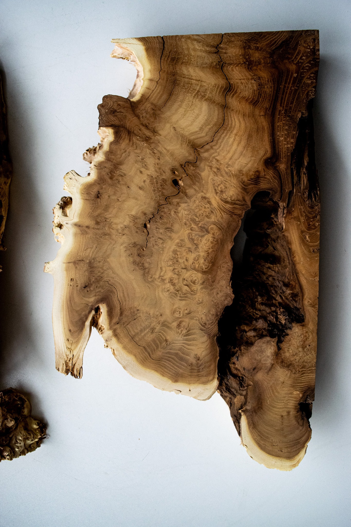 Live Edge Raw Edged Wood Sheet Live Edge Sheet Unfinished for - Etsy