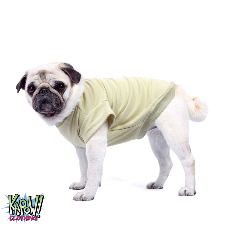 May include: A light brown pug wearing a light green short-sleeved t-shirt. The dog is standing on a white background.