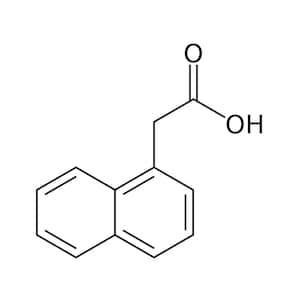 1-NAA Rooting Hormone Powder | Pure 99% 1-Naphthaleneacetic Acid Auxin | Plant Propagation & Cloning Booster
