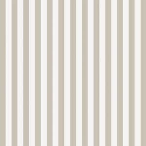 SOLO CAMPIONE Carta da parati a righe grigio chiaro e bianco 2 cm, Carta da parati a righe 2 cm in grigio pastello e bianco, Carte da parati grigie contemporanee