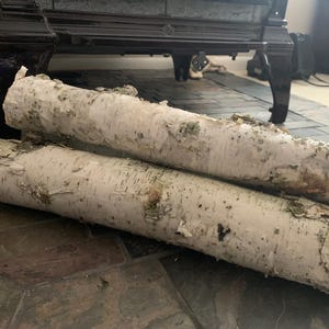 Puede incluir: Dos troncos de abedul con corteza blanca y marrón claro, apoyados sobre un suelo embaldosado. Los troncos están colocados frente a una chimenea oscura y ornamentada. La corteza tiene una textura descascarada y los extremos de los troncos están cortados.