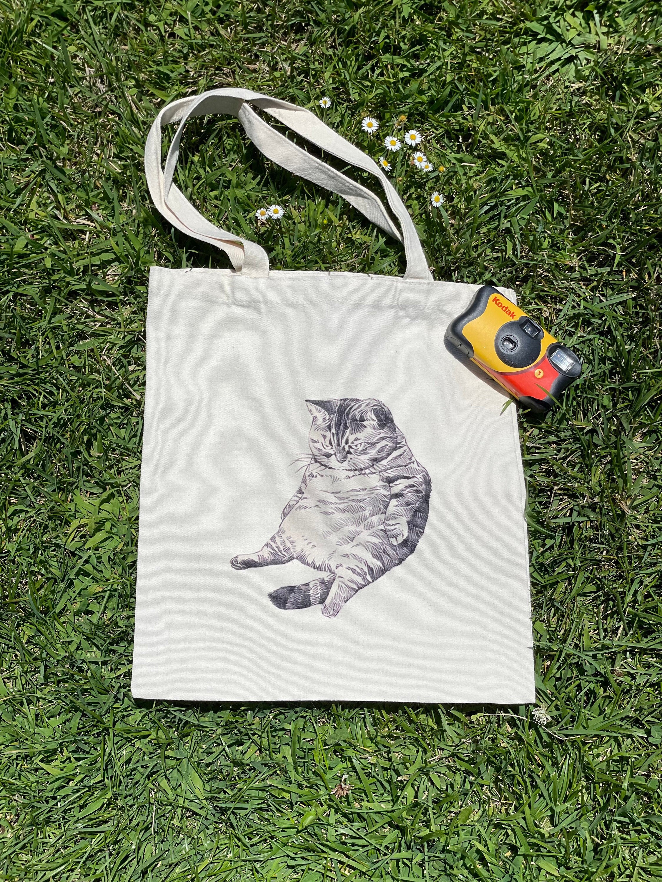 fat cat bag