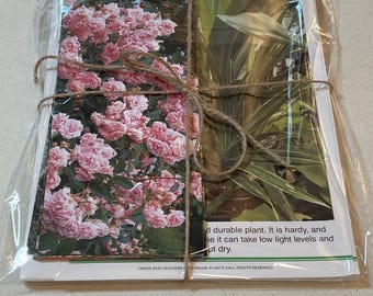 Zestaw botanicznych efemeryd: stare i nowe karty do dzienników śmieciowych (35 elementów w zestawie)