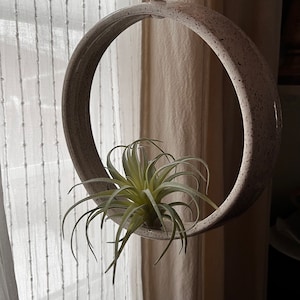 May include: A white ceramic hanging planter with a speckled finish, featuring a green air plant inside.