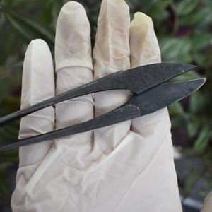 Puede incluir: Unas tijeras de coser de metal negro con punta afilada y mango curvo. Las tijeras se sostienen en una mano enguantada.