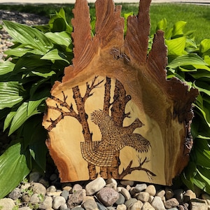 Ruffed Grouse Flying