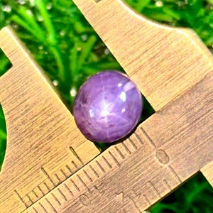 Cabochon rotondo di zaffiro stellato indiano da 8 mm, pietra preziosa naturale di buona qualità, 7 carati.