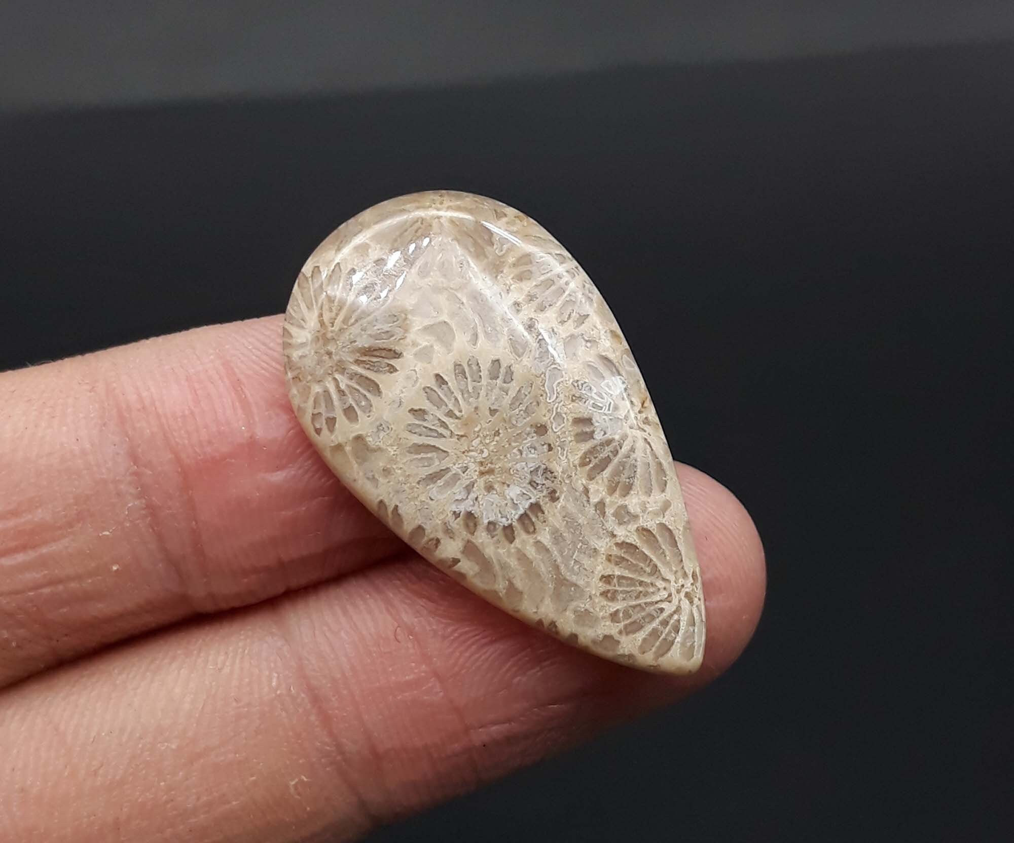 Fossil Coral Cabochon AAA Quality Gemstone Loose Stone For Jewelry Making Cabochon 30X17X4 MM 15 Carat