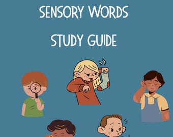 Sensory Detail Words Study Guide