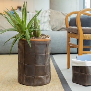 May include: A tall, cylindrical brown leather planter with a woven design holds a green plant with long, pointed leaves and a small cactus. A smaller, matching basket sits nearby. The items are in a living room setting.