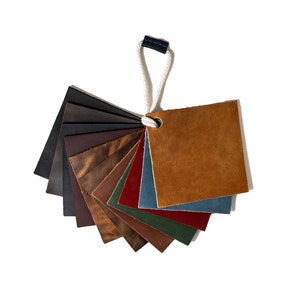 May include: A leather swatch book with a variety of colors, including brown, red, green, blue, and black. The swatches are attached to a white string with a black loop.