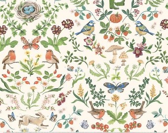 Robin Collection by Clare Therese Gray for Windham Fabrics, Robin's nest 53839-1, Cotton Fabric, Sold in HALF yard Increments
