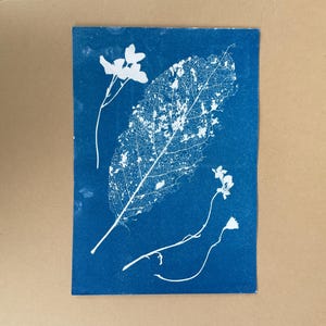 Postkaart Herfst Cyanotype Blauwdruk