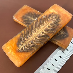 May include: Two rectangular resin blocks featuring an embedded dark brown pinecone segment within a translucent orange and amber-colored material. A metal ruler is positioned alongside the blocks, showing a length of approximately 5 inches.