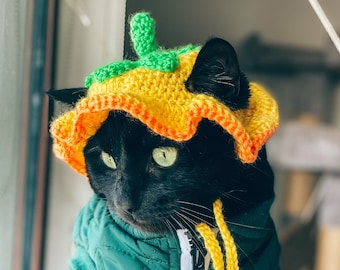 Flower top pet hat