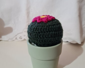 Crochet cactus - Adhara