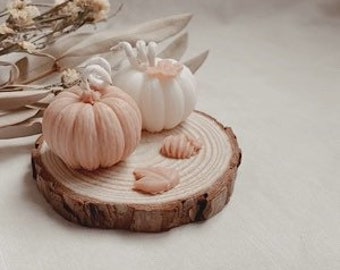 Pumpkin Decoration Candle | Autumn Decor | Fall | Home Decor | Boho | Beige | Vanilla Sandalwood | Pumpkin | Wooden Coaster |