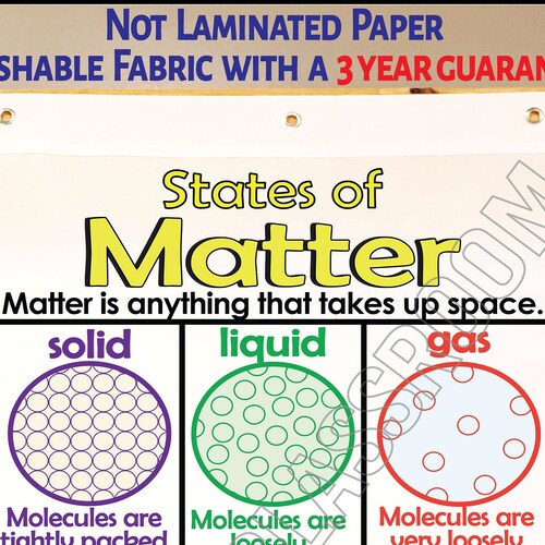 Vertebrates & Invertebrates Anchor Chart Printed on FABRIC Etsy