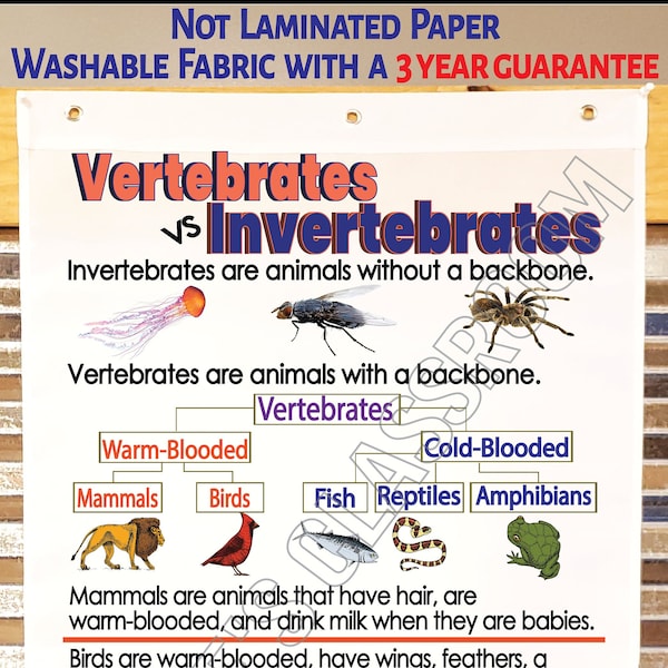 Vertebrates & Invertebrates Anchor Chart - Printed on FABRIC - Durable Flag Material. Washable, Foldable.*3 Year product guarantee*