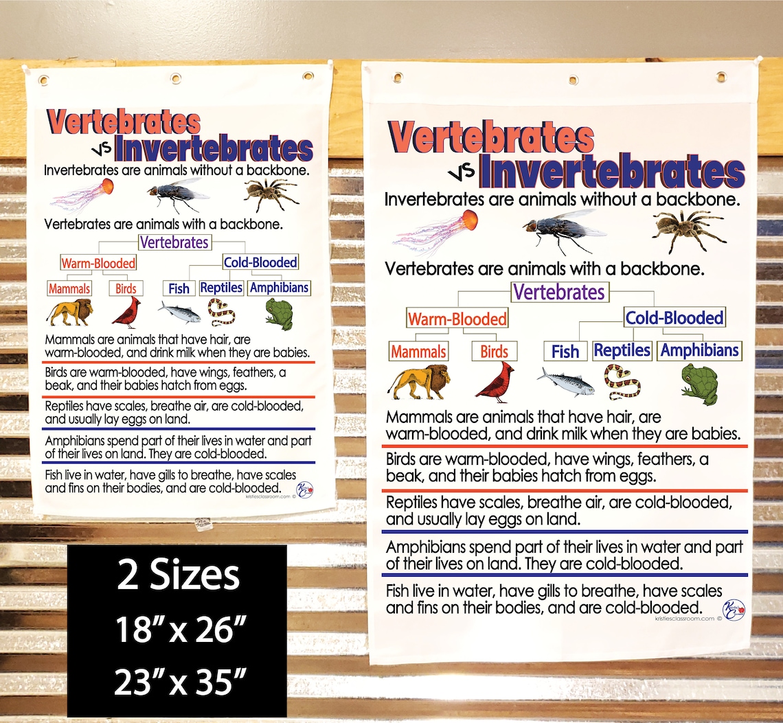 Vertebrates & Invertebrates Anchor Chart Printed on FABRIC Durable Flag