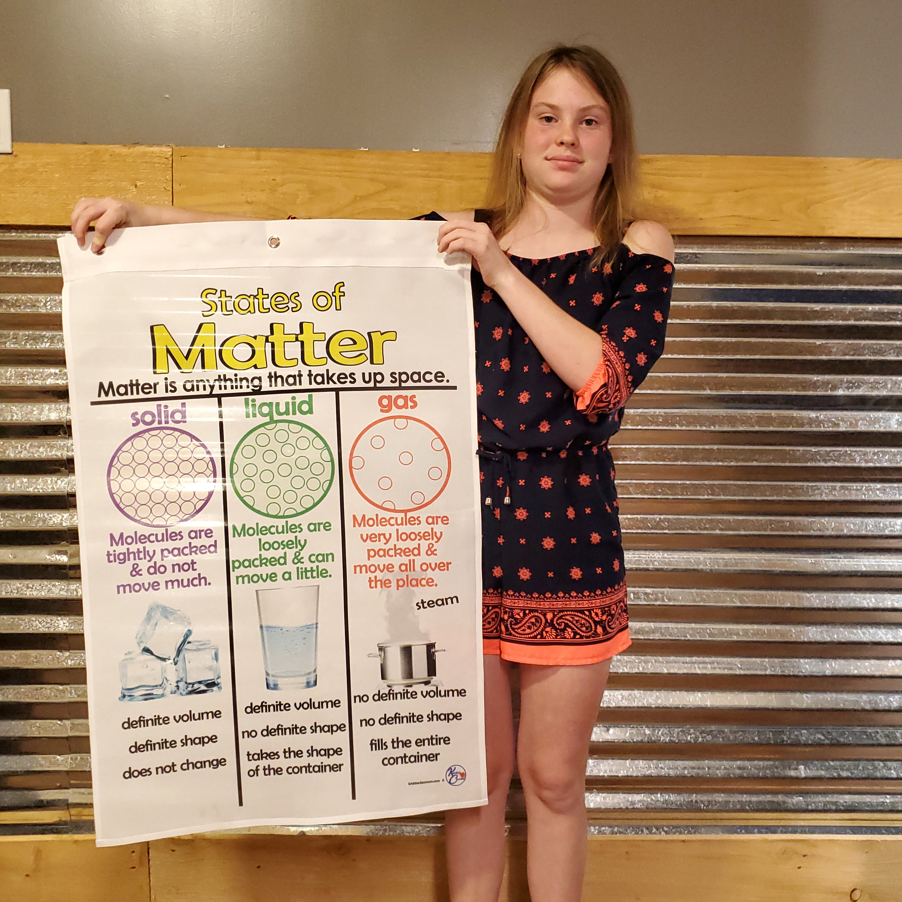Vertebrates & Invertebrates Anchor Chart Printed on FABRIC Etsy