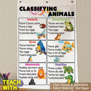 May include: A classroom anchor chart titled "Classifying Animals" with illustrations of insects, amphibians, birds, fish, mammals, and reptiles. The chart includes key characteristics for each animal group. The text "Kristie's Classroom" is at the top.