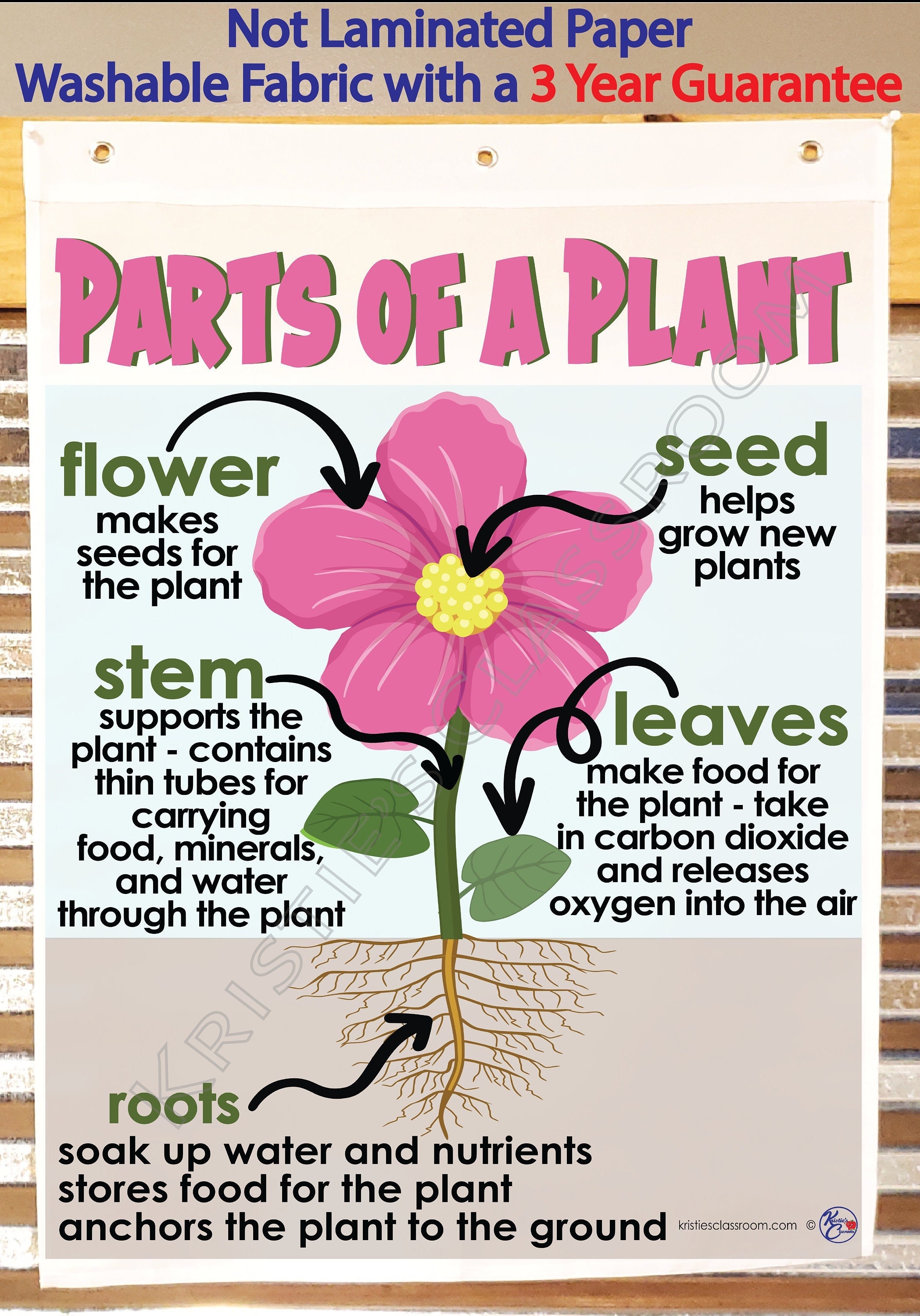 Parts of a Plant Anchor Chart, Printed on FABRIC Durable Flag