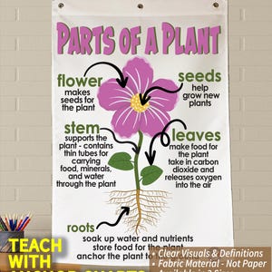 Parts of a Plant Anchor Chart, Printed on FABRIC! Durable Flag Material with grommets. FOLDABLE, WASHABLE. 2 Sizes to choose from