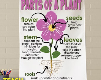 plant mist bottle Plant Mister