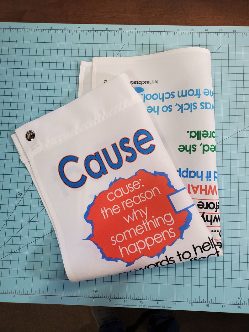 Cause and Effect Anchor Chart, Printed on FABRIC Durable Flag Material