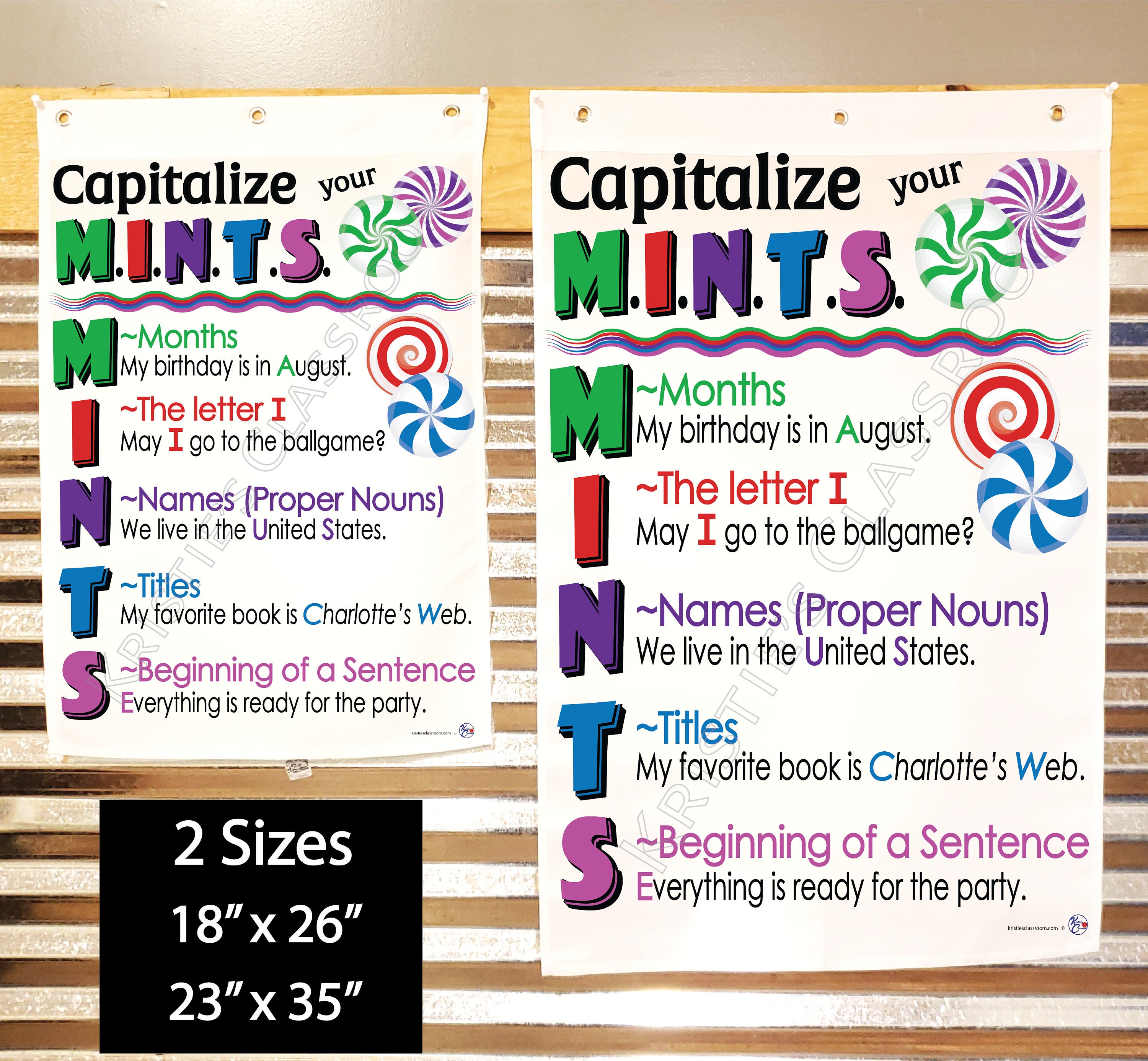 Capitalization MINTS Anchor Chart, Printed on FABRIC Durable Flag
