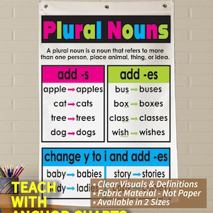 Plural Nouns (-s, -es, y to i add -es) Anchor Chart, Printed on FABRIC! Durable Flag Material. Washable, Foldable.*3 Year product guarantee*