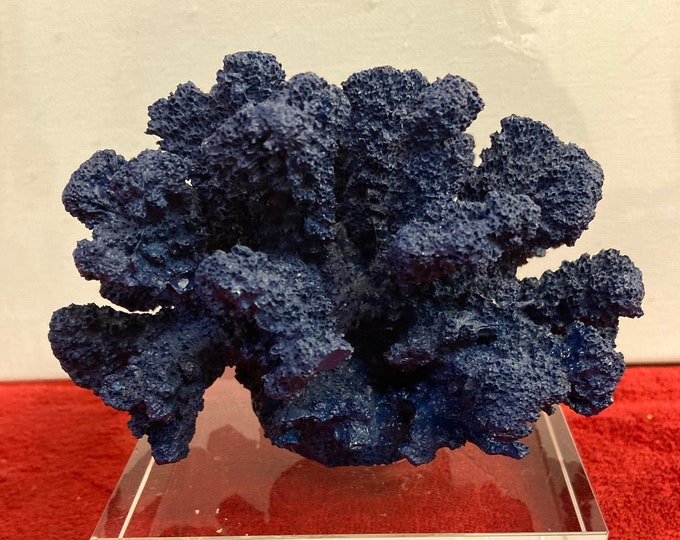 Expansive  Faux Coral