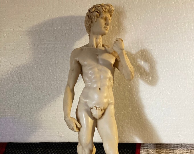 Michel Angelo's Classic  Fig Leaf Sculpture  of David .By  ART F