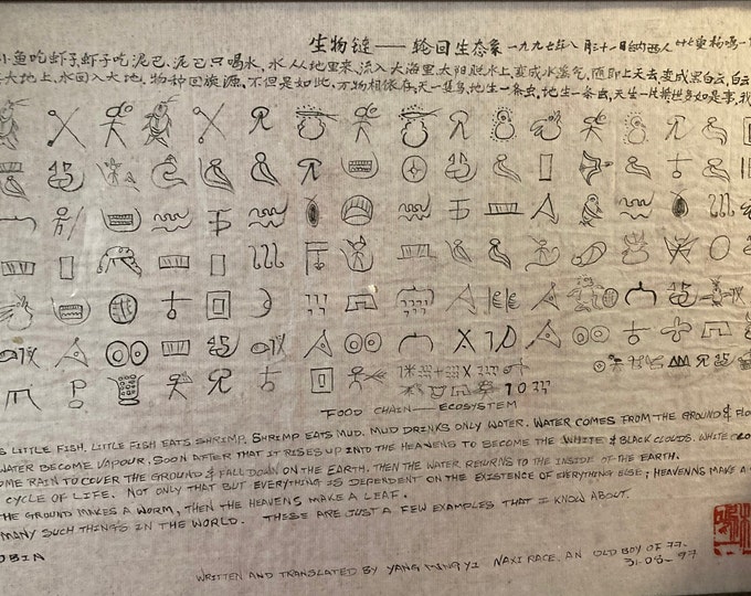 Vintage Hand Drawn Chinese  Food Chain , Ecosystem Story