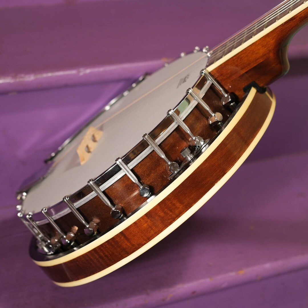 Pyle 5 String Banjo Etsy