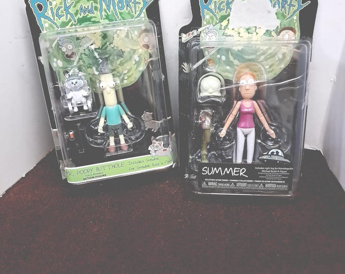 2 Animated Show Action Figure  Toys From Rick & Morty