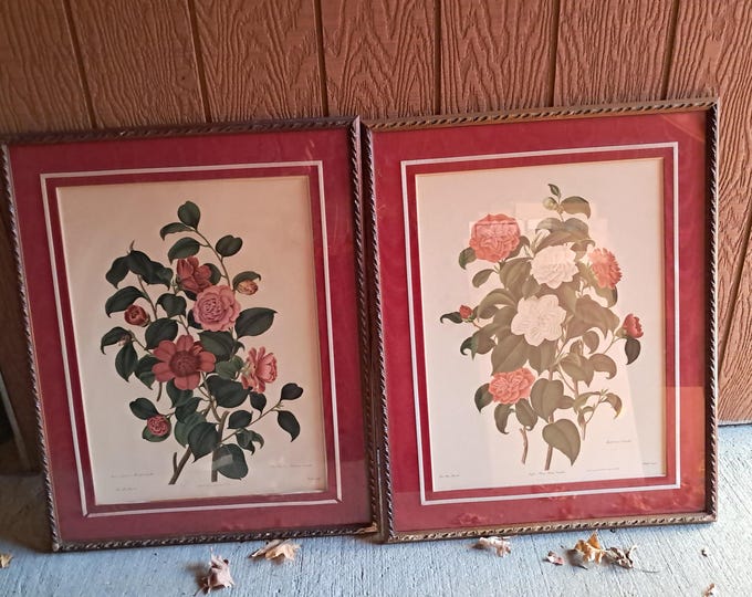 Prints From The Lithographs by Weddell After Clara Pope