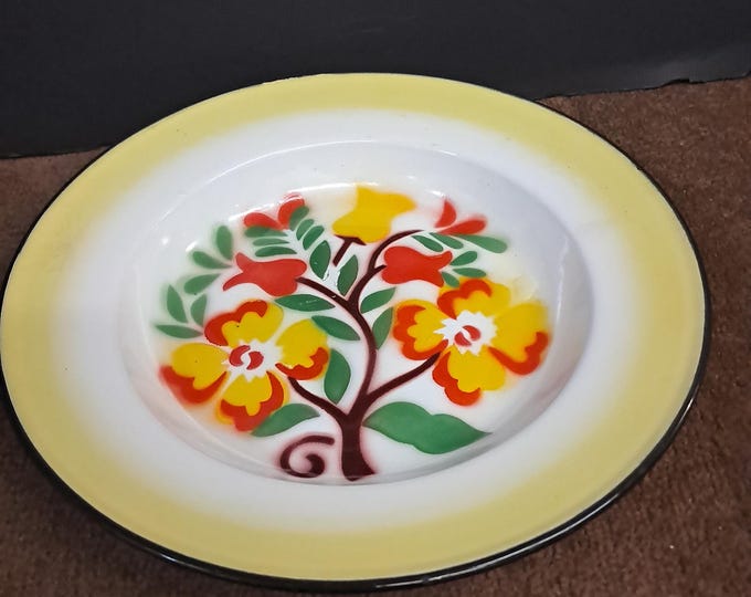 7 Spode Vintage Floral Enamel Meal Dinner Plates