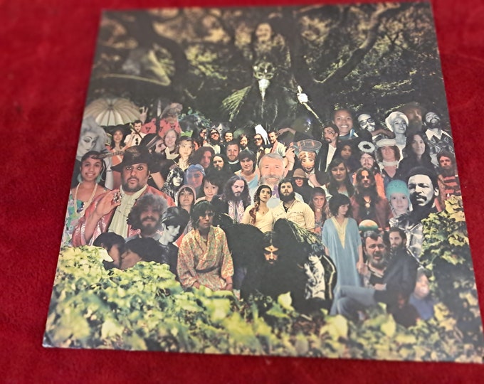 Devendra Banhart- Cripple Crow 2 LP Vinyl freak folk ED1 LP Gatefold 2006 EX