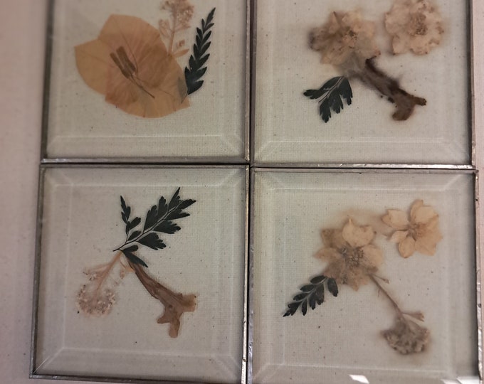 Set of  4  Vintage Pressed Flowers  Coasters