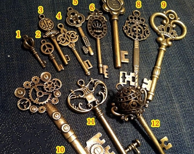 Antique Bronze Skeleton Key Charms: Royal Key Set, 12 Styles
