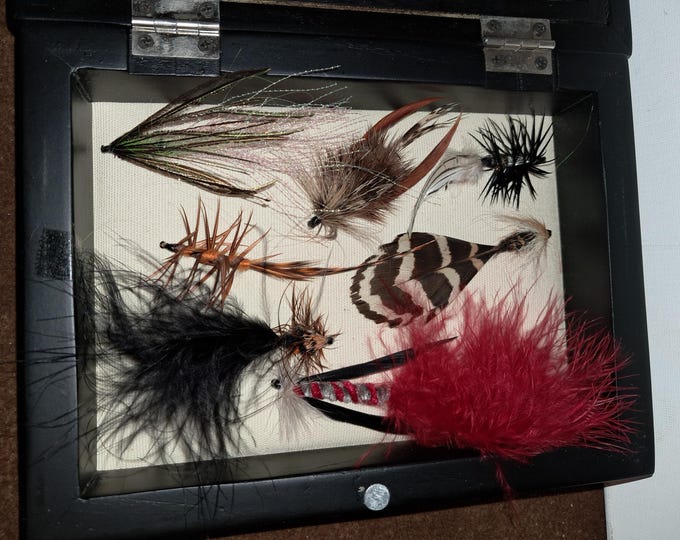 Fishing  Hooks  Show Box