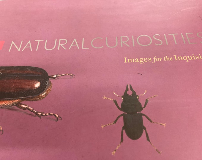 Natural  Curiosities ,Images for Inquisitive,Volume 14 ,Limited edition Prints