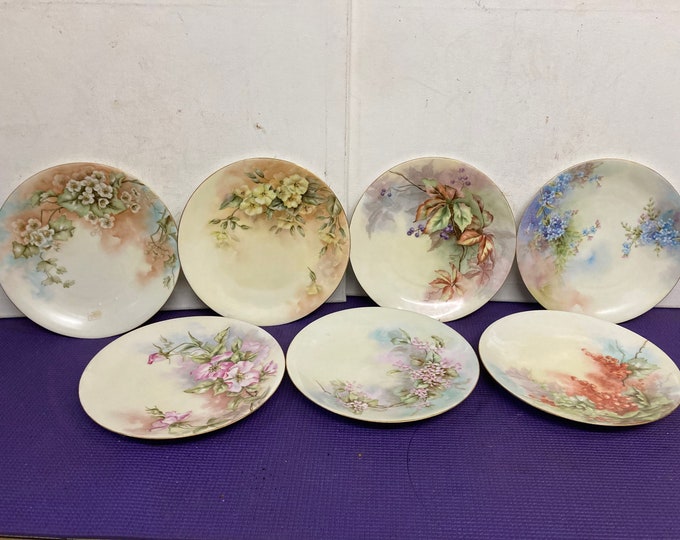 7 "T & V Limoges France" Hand Painted Plate,  Antique China