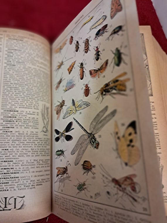Pierre Larousse Dictionnaire Complet Illustre,published by